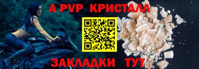 твердый Кингисепп