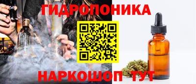 твердый Кингисепп