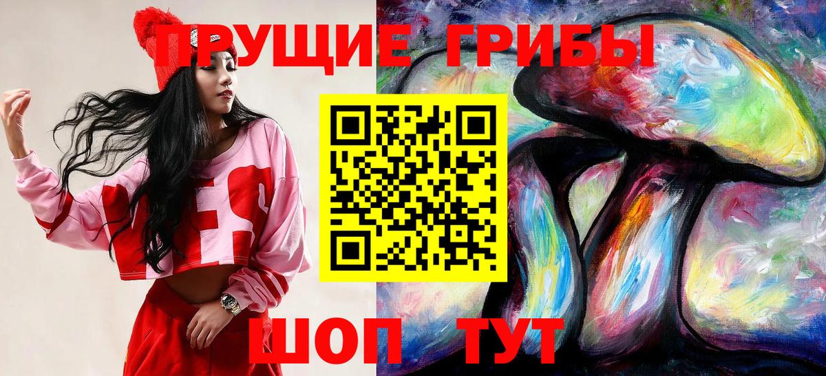 Галлюциногенные грибы ЛСД  Галлюциногенные грибы Psilocybine cubensis  Вход с VPN  Тамбов 