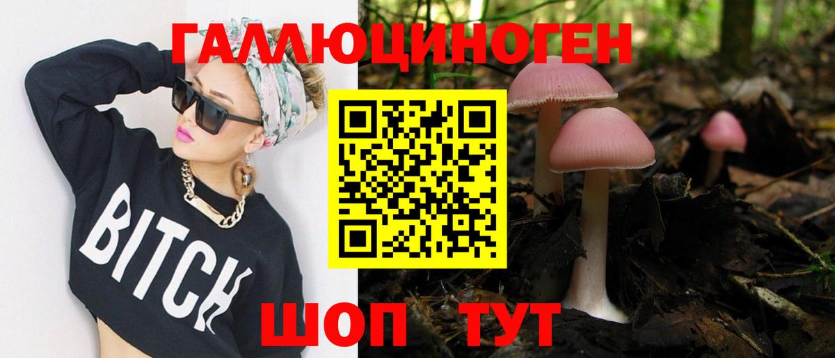 Галлюциногенные грибы прущие грибы Тамбов